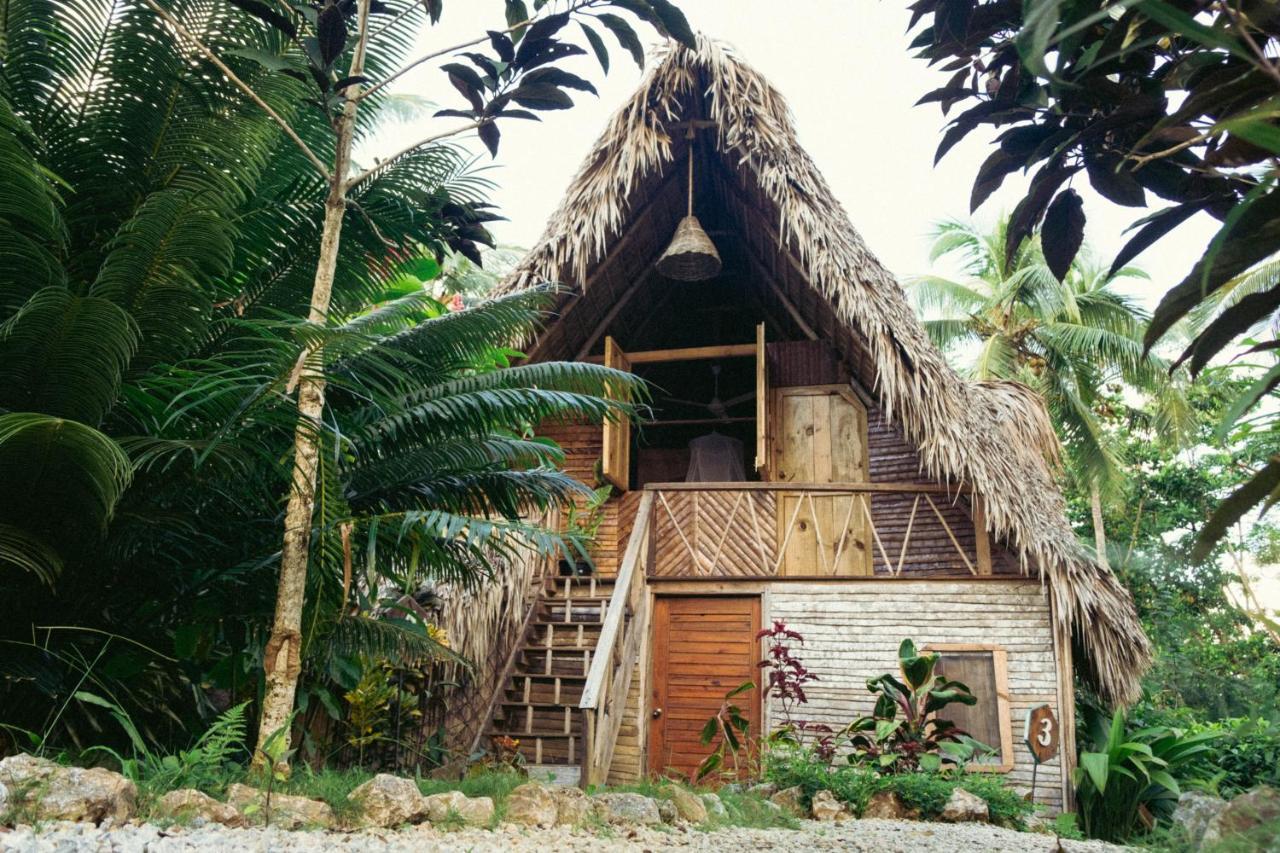La Colmena Rd Hotel Samana Exterior photo